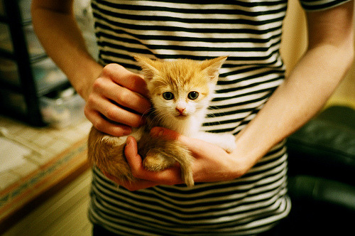 极限逆转，奥利维耶在时间熔断时刻的连续得分风暴